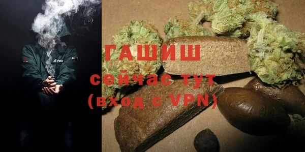 сатива Туринск
