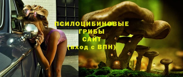 тгк Киреевск